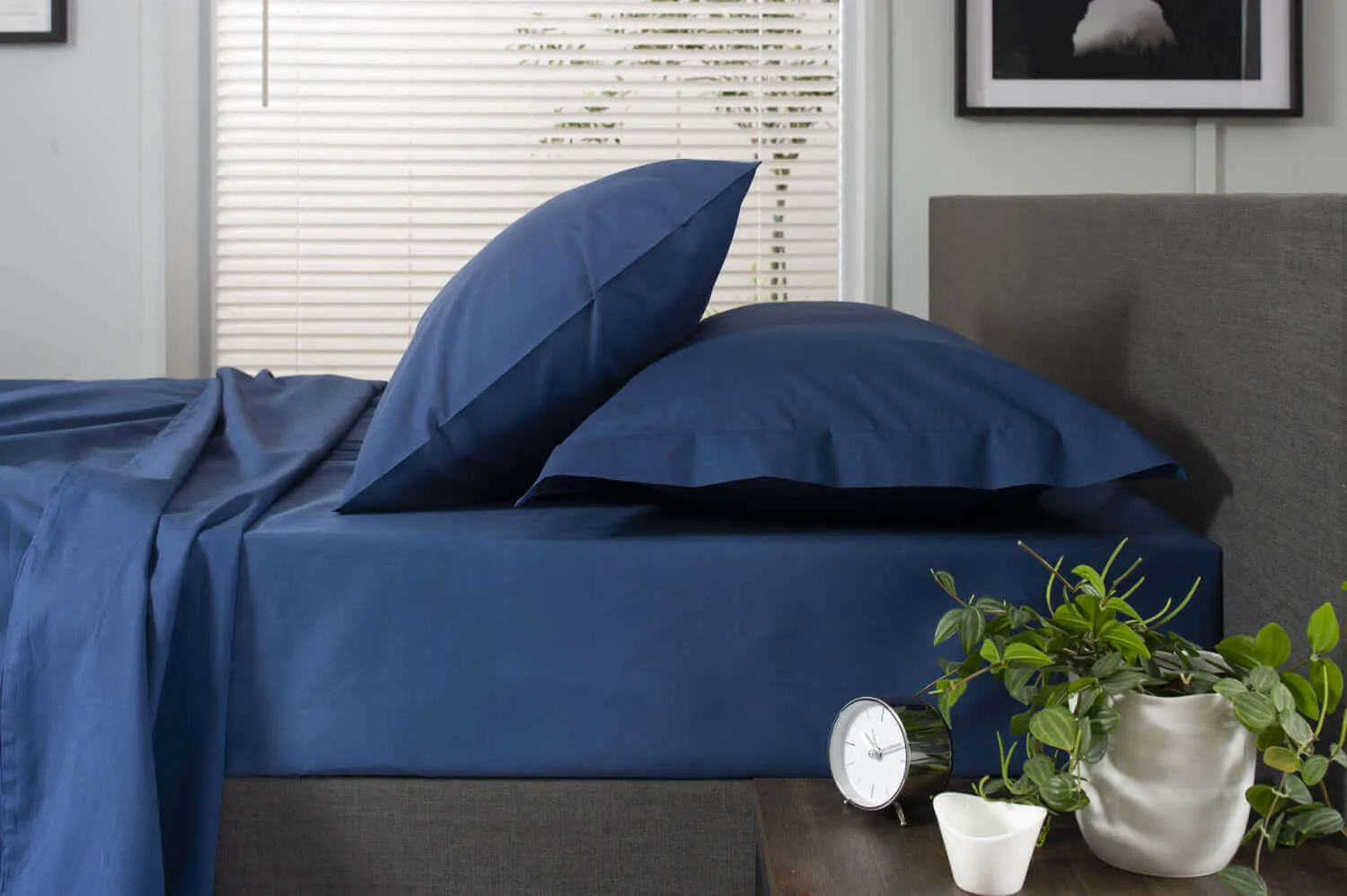 200 Thread Count Cotton Oxford Pillowcase