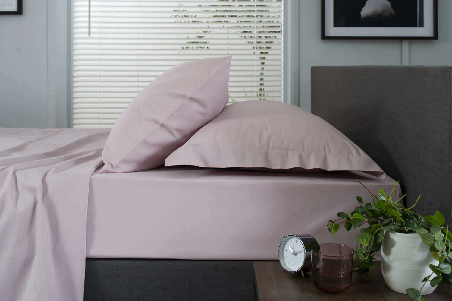 200 Thread Count Cotton Oxford Pillowcase