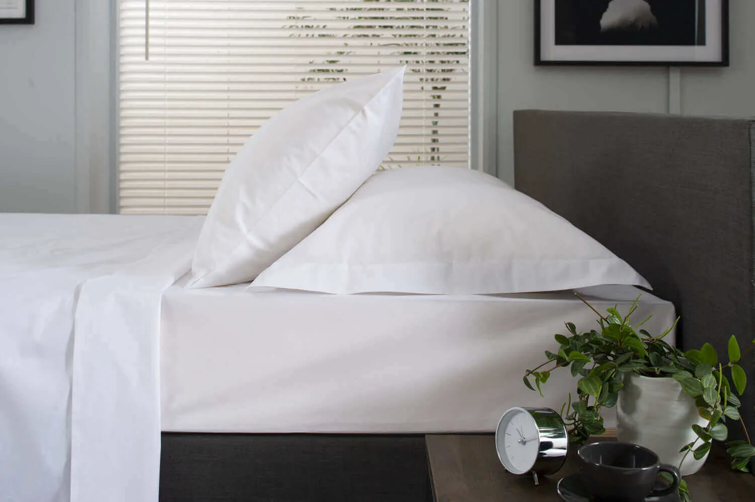 200 Thread Count Cotton Oxford Pillowcase