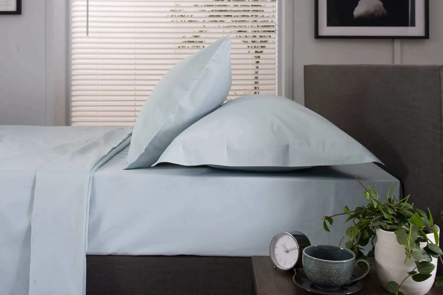 200 Thread Count Cotton Oxford Pillowcase