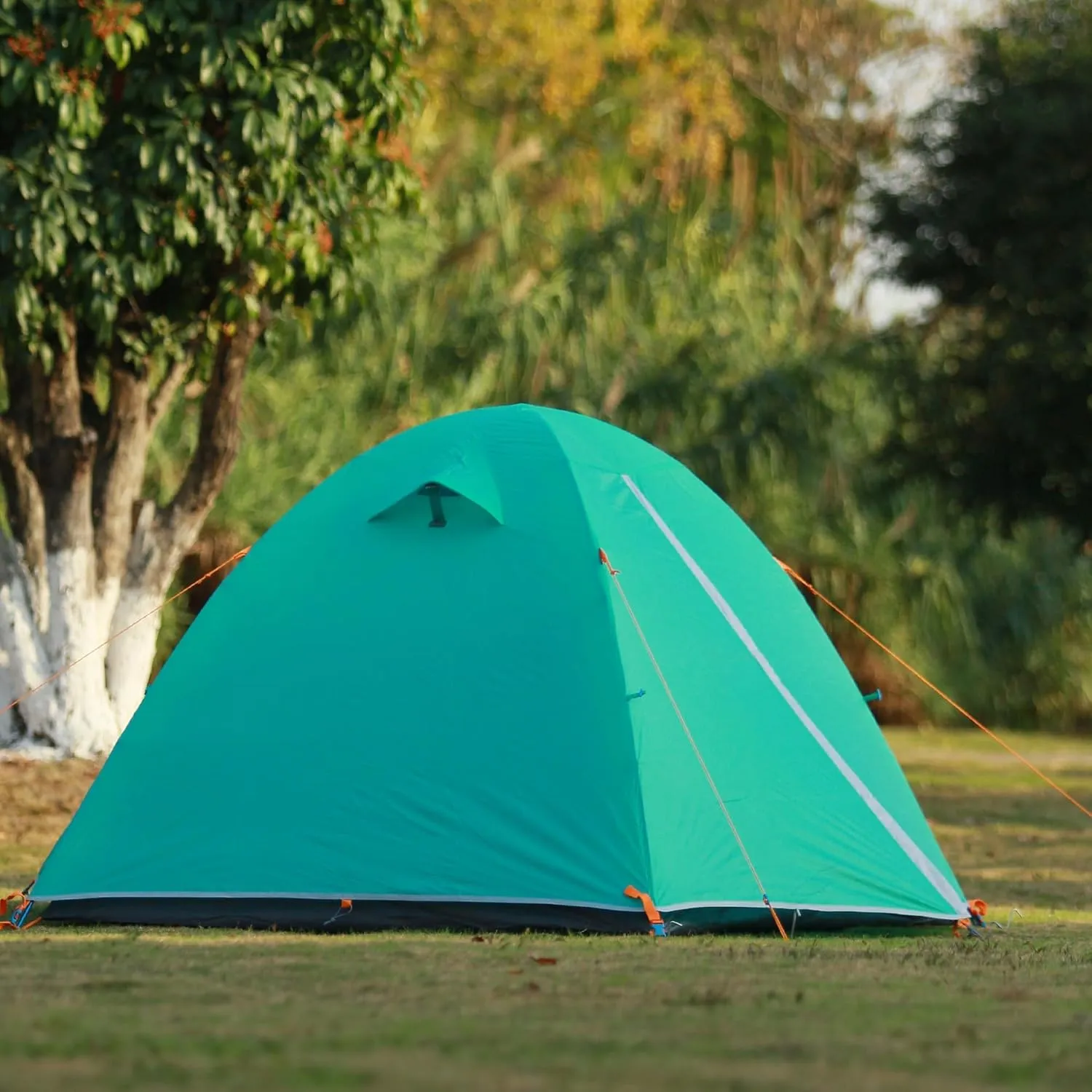 2/3 Person Camping Tent Backpacking Lightweight Tent Waterproof Windproof Aluminum Pole Two Doors Double Layer Easy Setup Portable for Outdoor Camping Hiking Beach Travel