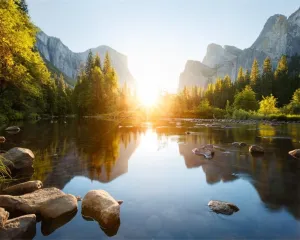 AOFOTO 10x8ft Nature Mountain Forest Backdrop Valley Sunrise Landscape Photography Background Pine Tree River Natural Park Lake Scenic Outdoor Hiking Camping Vinyl Wallpaper Portrait Photoshoot Prop