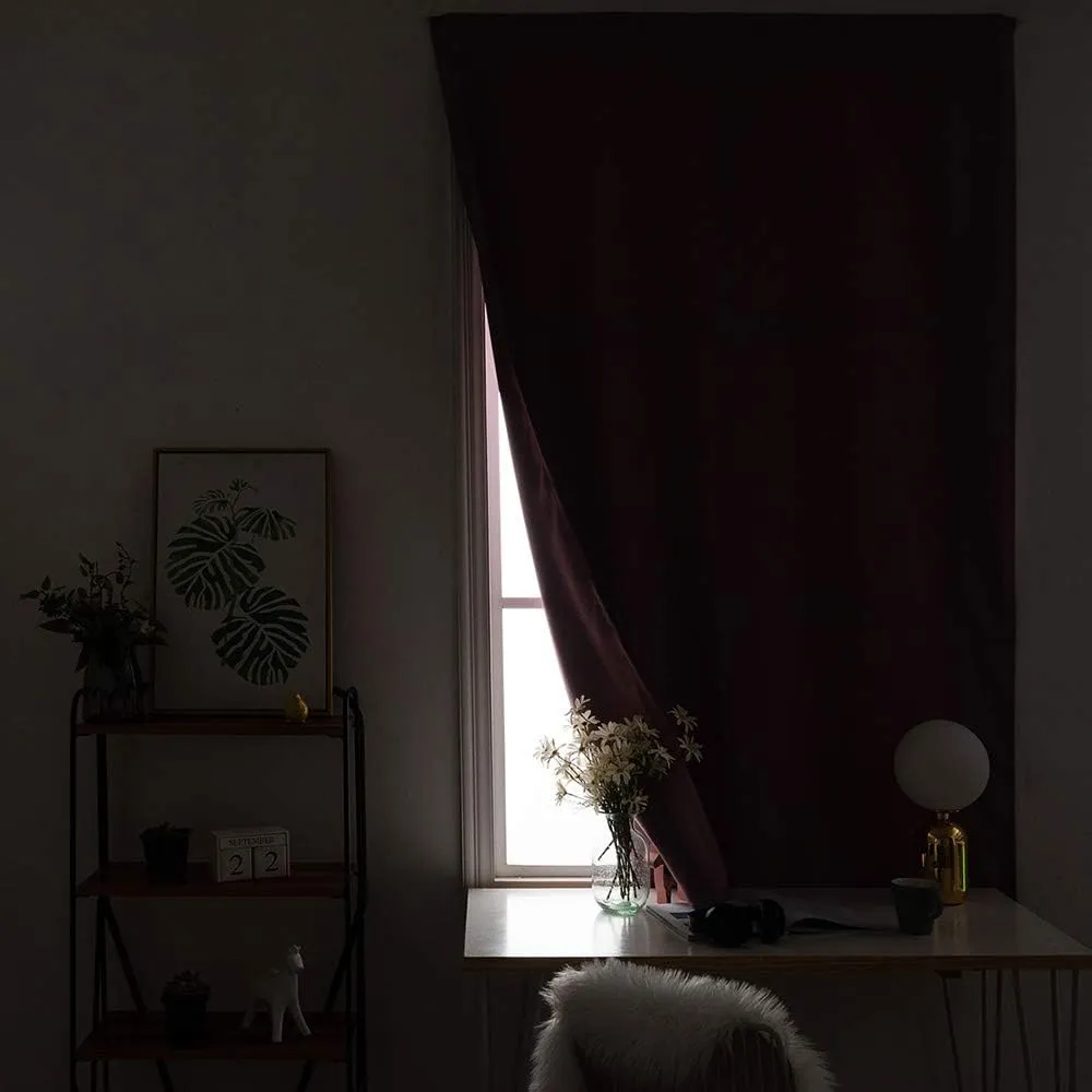 Autohesion Curtains, Dahlia Window Curtain Panel, Autumn Flower Blooming Botanical Parks Nature Print Thermal Lnsulated Room Darkening Small Drapes,26W x40L Inch, for Kitchen Bathroom Living Room