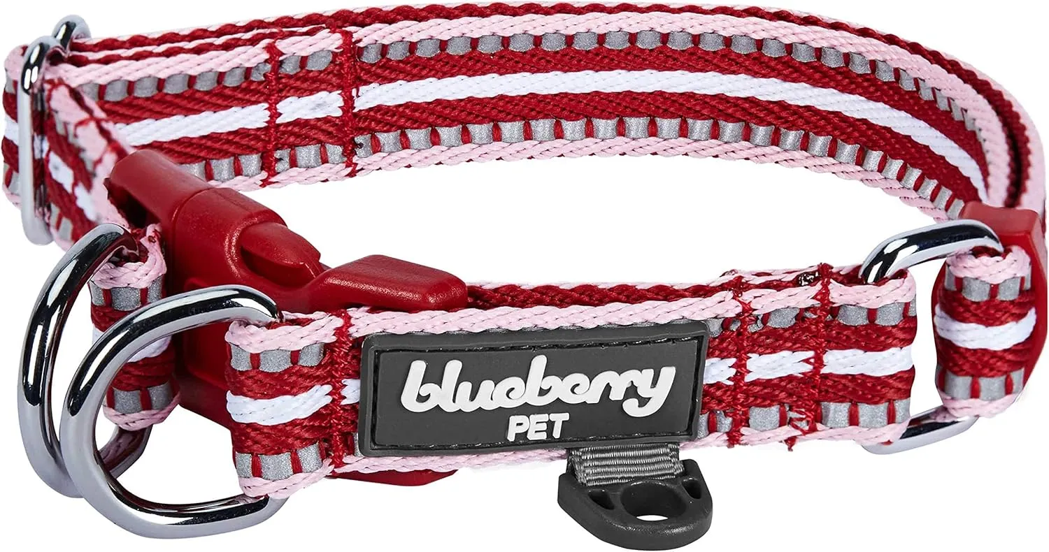 Blueberry Pet 3M Reflective Dog Collars | Adjustable Dog Collar w/Multi-Colored Stripe - Marsala Red and Pink | Nylon Pet Collars for Dogs & Refflective Dog Collar for Large Dogs