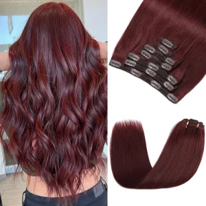 Clip in Hair Extensions Real Human Hair - 160g 20 Inch 7pcs, Burgundy Red Color - Premium Soft Hair Extensions Real Human Hair Clip ins Straight Double Weft for Women (#99J 20 Inch)