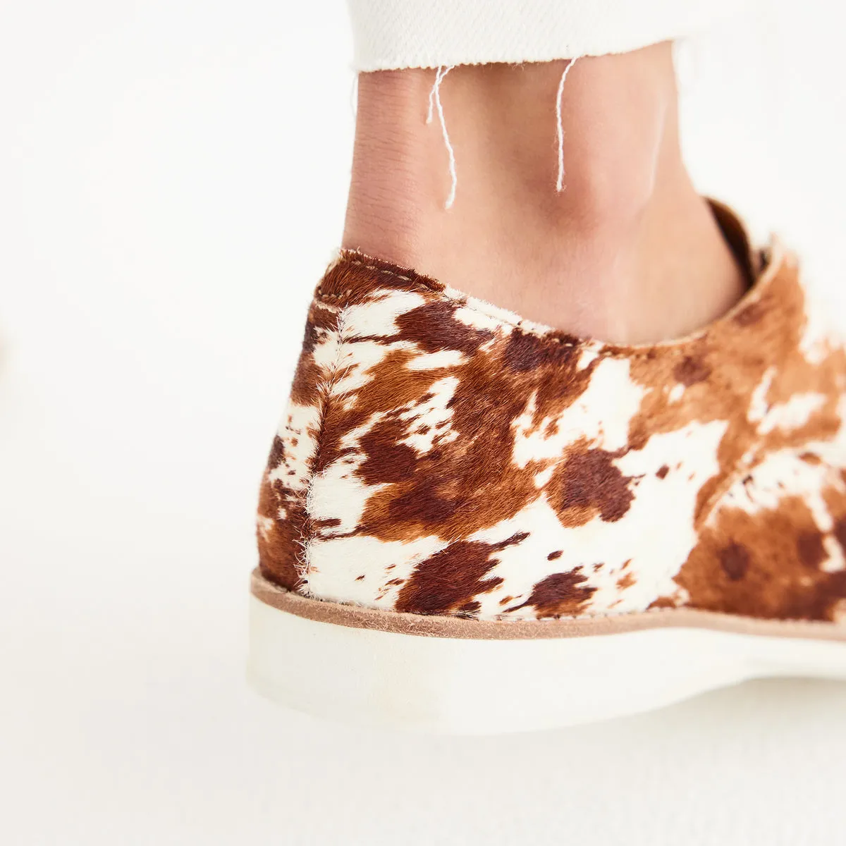 Derby Brown Cow