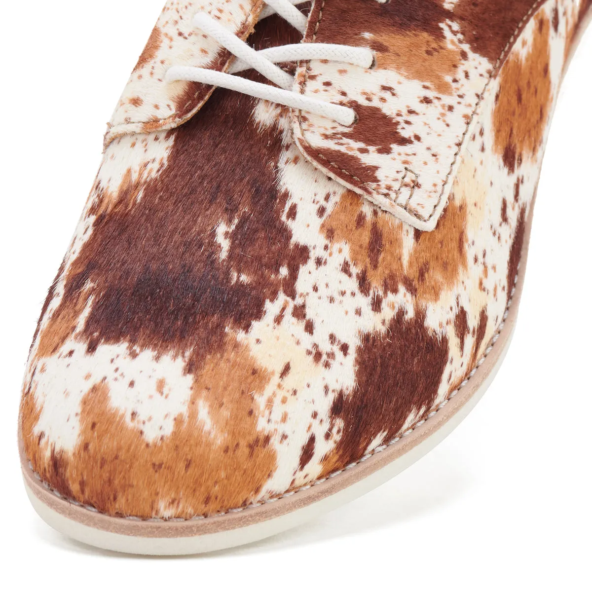 Derby Brown Cow