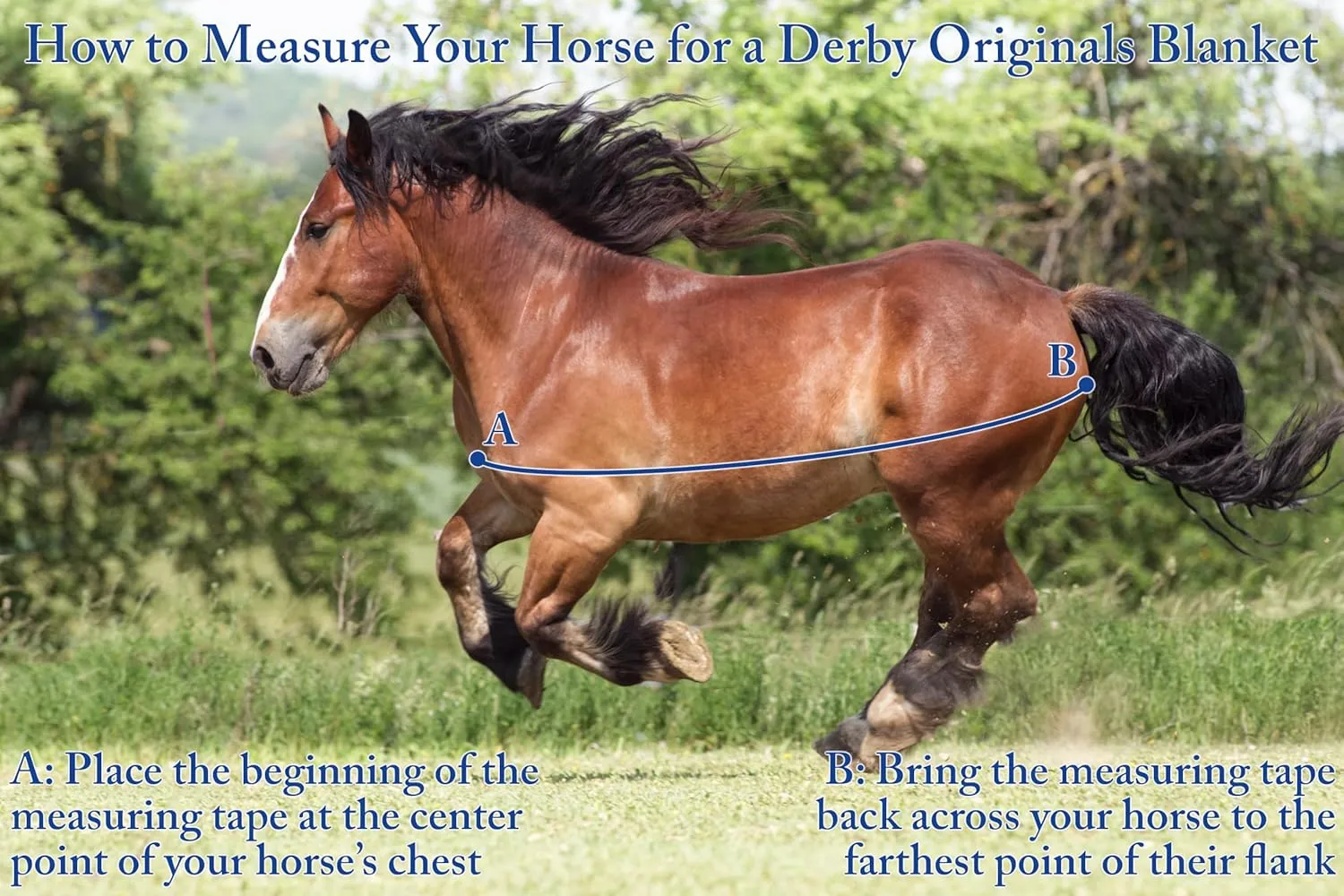 Derby Originals No-Hardware Foal & Mini Horse Winter Stable Blanket – 420D Breathable Shell, 150g Insulation, Triple-Layer Design, Reflective Safety, Adjustable Fit, 1-Year Warranty