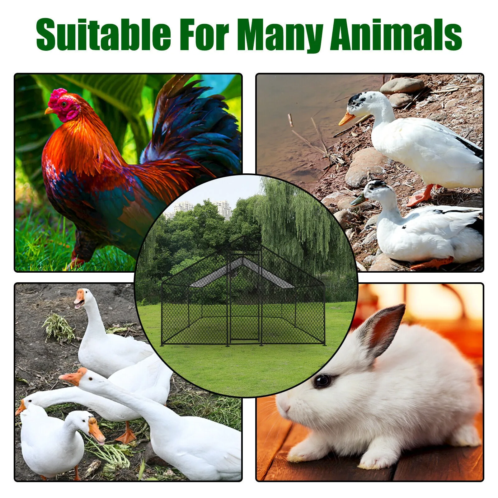 Durable Outdoor Chicken Run with Cover - 300x800x200cm