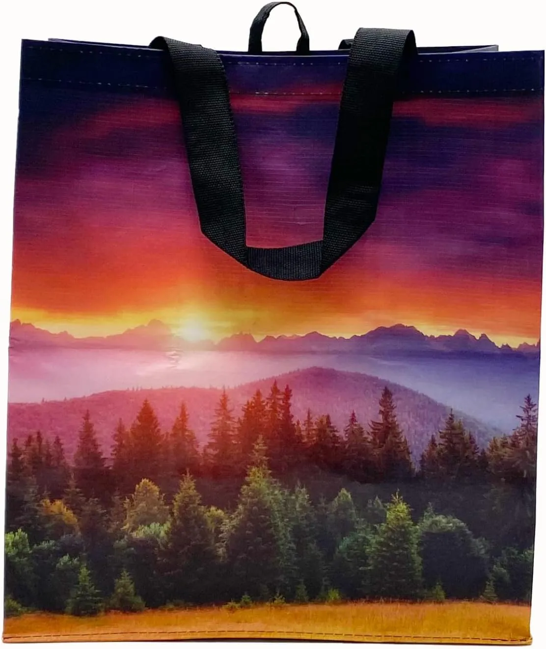 Earthwise Reusable Shopping Bags Extremely Durable Multi Use Large Stylish Fun Foldable Water-Resistant Totes