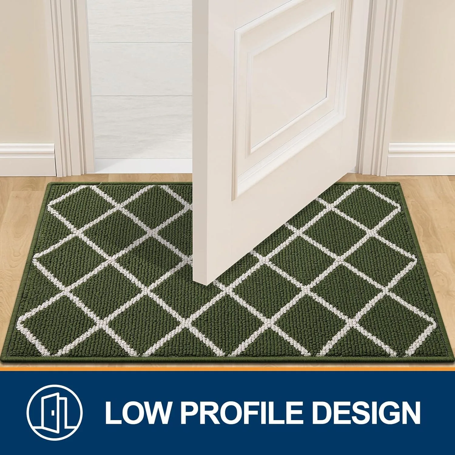 Finchitty Indoor Door Mat, Dirt Resistant and Absorbent, Low-Profile, Non-Slip, Washable Inside Floor Mats for Front Door, Back, and Entrance, 36" x 24", Green