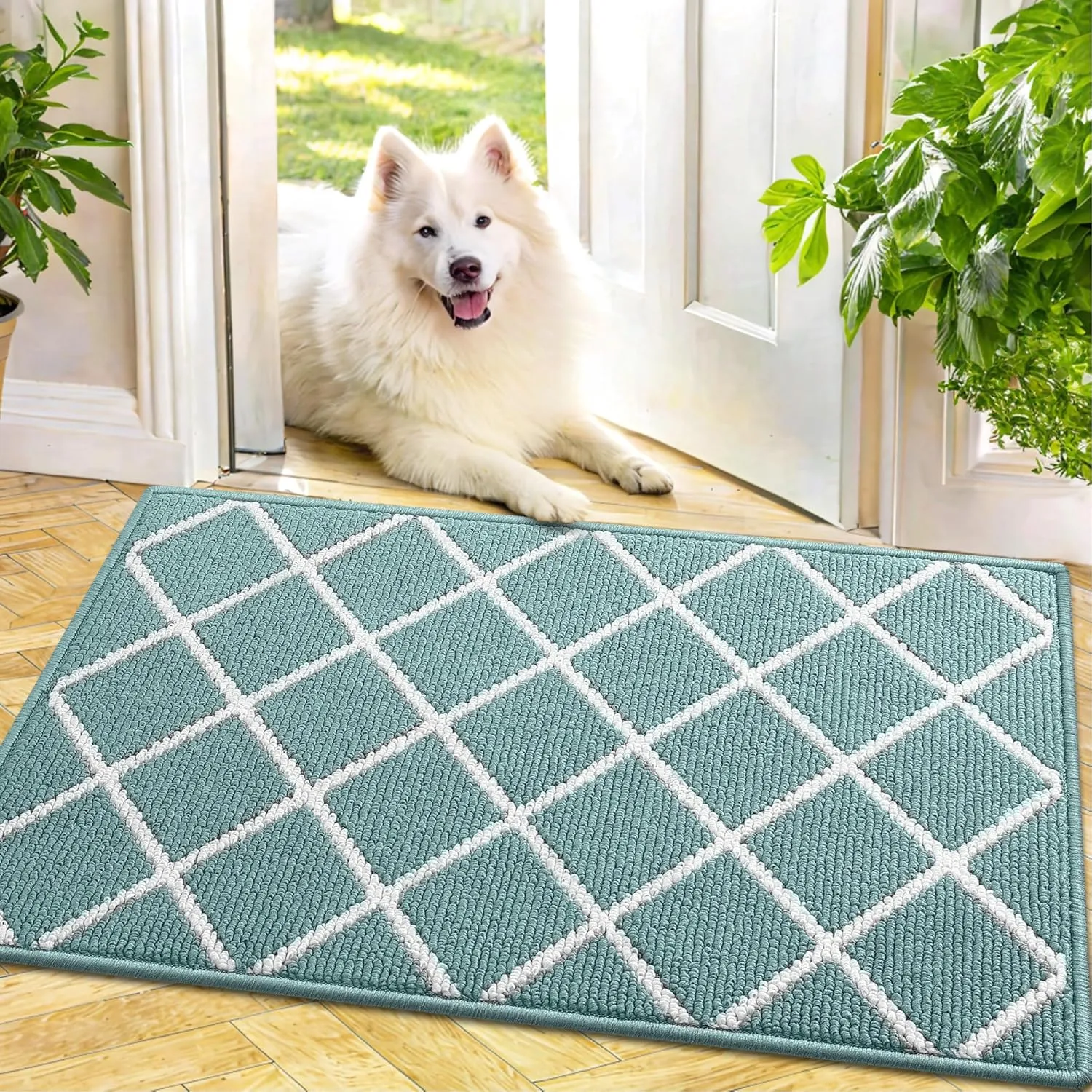 Finchitty Indoor Door Mat, Dirt Resistant and Absorbent, Low-Profile, Non-Slip, Washable Inside Floor Mats for Front Door, Back, and Entrance, 36" x 24", Sage Green