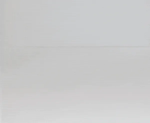 Foldable Flat Slipper Shoe