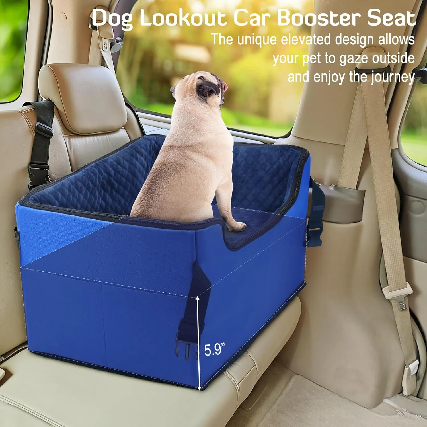 INFANZIA Dog Booster Car Seat for Small Medium Large Dogs, Elevated Pet Car Seats with Safety Leash for Pets Under (Royal Blue, Medium)