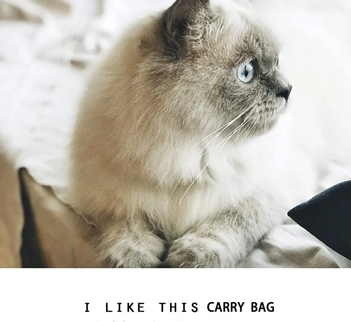 KAMEIOU Small Dog Cat Purse Carrier Soft-Sided Bag for Small Pets Pocket Mat Breathable Mesh Window Outdoor Travel Small Pet Puppy Cat Carrier Tote Bag for Small Dogs Rabbits Cats Carrier Shoulder Bag