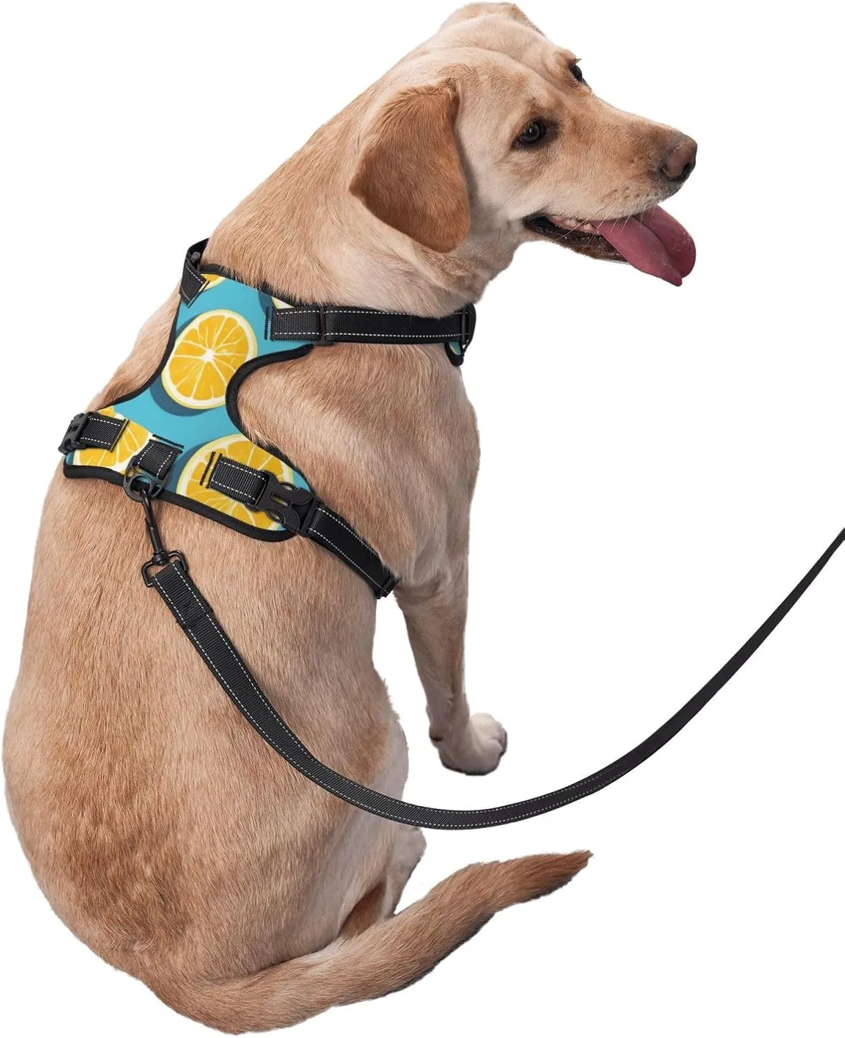 Lemon Wedges Medium Printed Breathable pet Vest, Reflective Design, Adjustable, with Leash, Suitable for Outdoor use