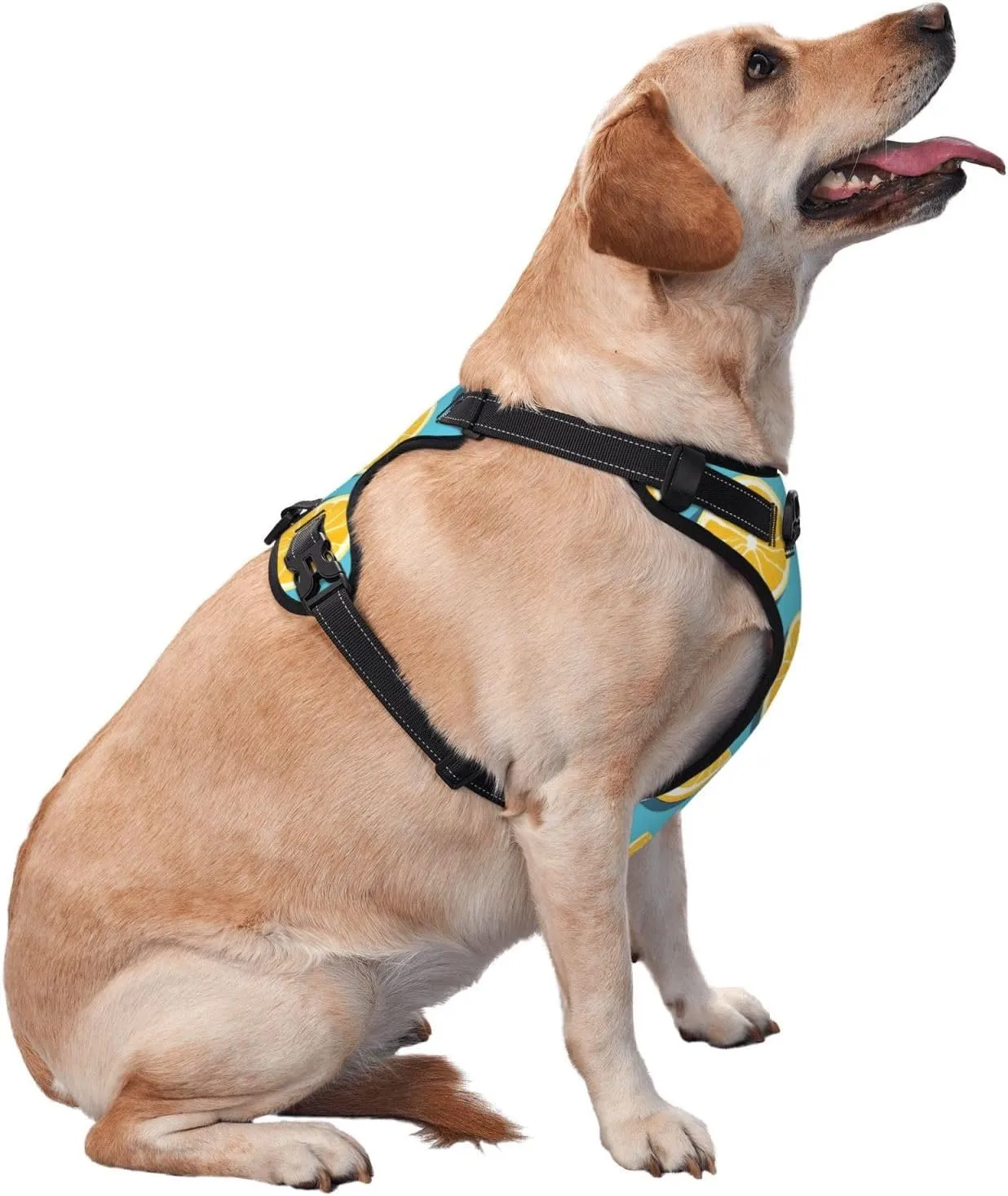 Lemon Wedges Medium Printed Breathable pet Vest, Reflective Design, Adjustable, with Leash, Suitable for Outdoor use