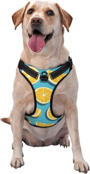 Lemon Wedges Medium Printed Breathable pet Vest, Reflective Design, Adjustable, with Leash, Suitable for Outdoor use