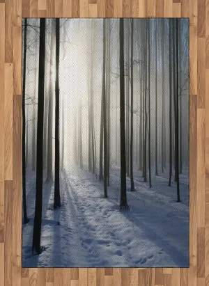 Lunarable Forest Area Rug, Thin Snow Covered Path in Misty Winter Forest with Morning Sun Image Print, Flat Woven Accent Rug for Living Room Bedroom Dining Room, 4' X 5' 7", White and Dark Brown