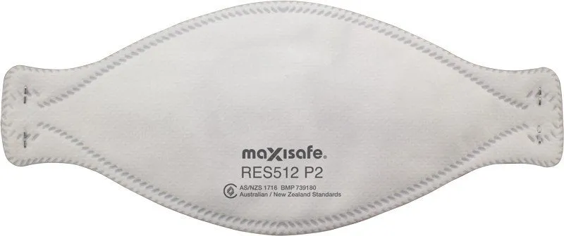 P2 3-Panel Flat fold Respirator