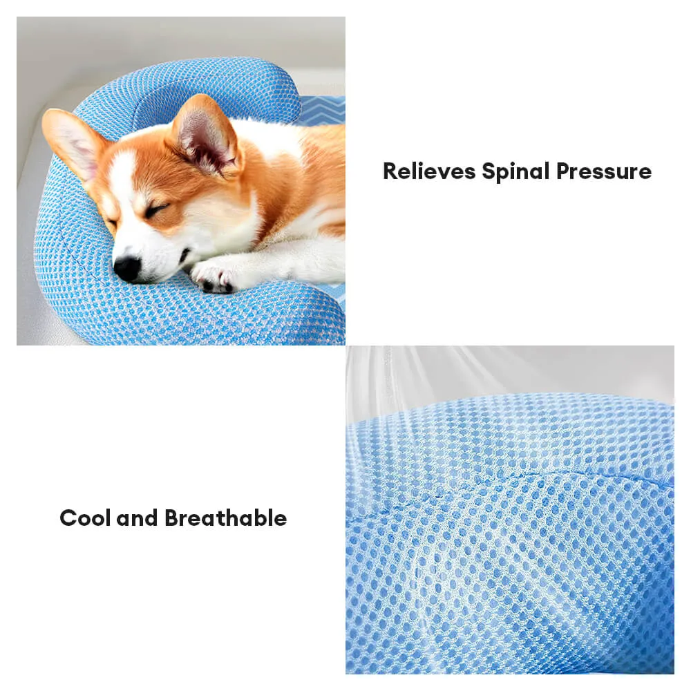 Scratch-Resistant Waterproof Breathable Neck-Support Dog Bed