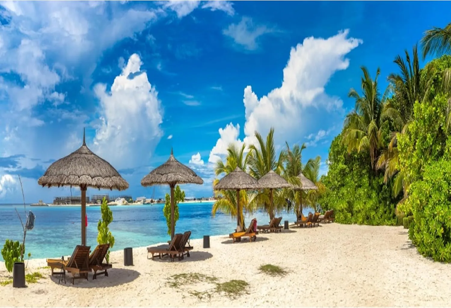 Summer Tropical Beach Backdrop for Party 7x5ft Tropical Hawaii Beach Backdrop Seaside Beach Palm Trees Photography Background Blue Sky White Clouds Holiday Vacation Trip Decor Portrait Props