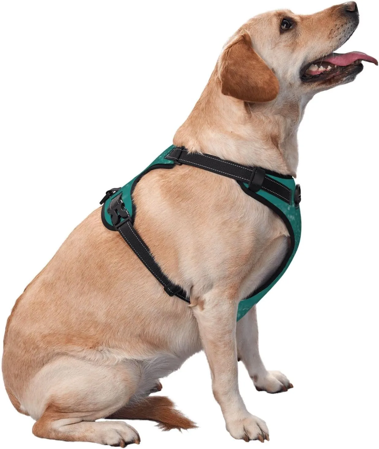 Water Splash Print No Pull Dog Harness, Adjustable Reflective Pet Harness No-Choke Pet Vest with 2 Leash Clips   1 Pet Leash for Small to Large Dogs